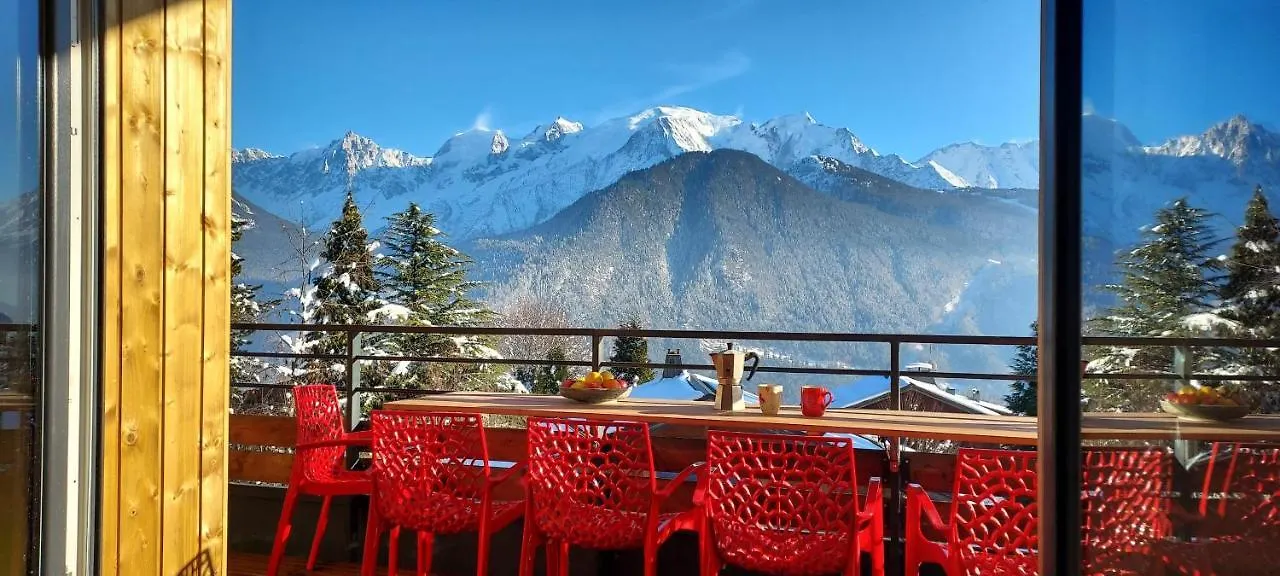 New Spacious Appart. Incredible View Of Mt Blanc Passy  Apartment