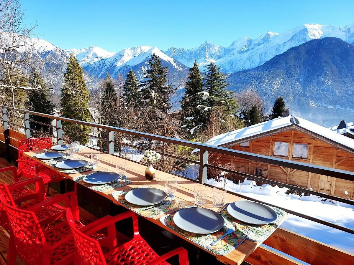 New Spacious Appart. Incredible View Of Mt Blanc Passy